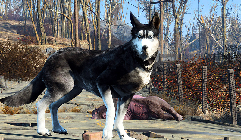 Fallout 4 dog breed mod